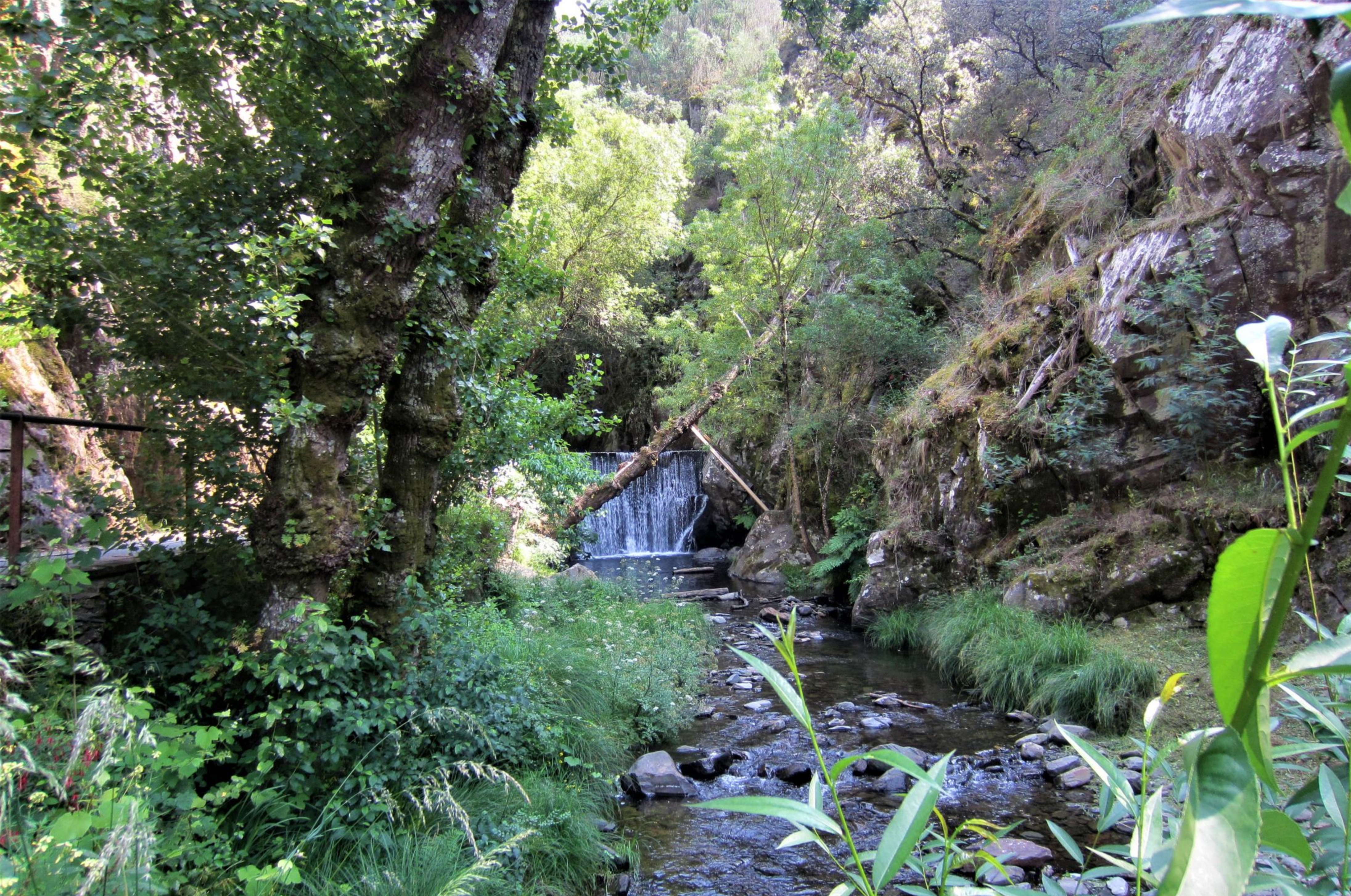 hike img
