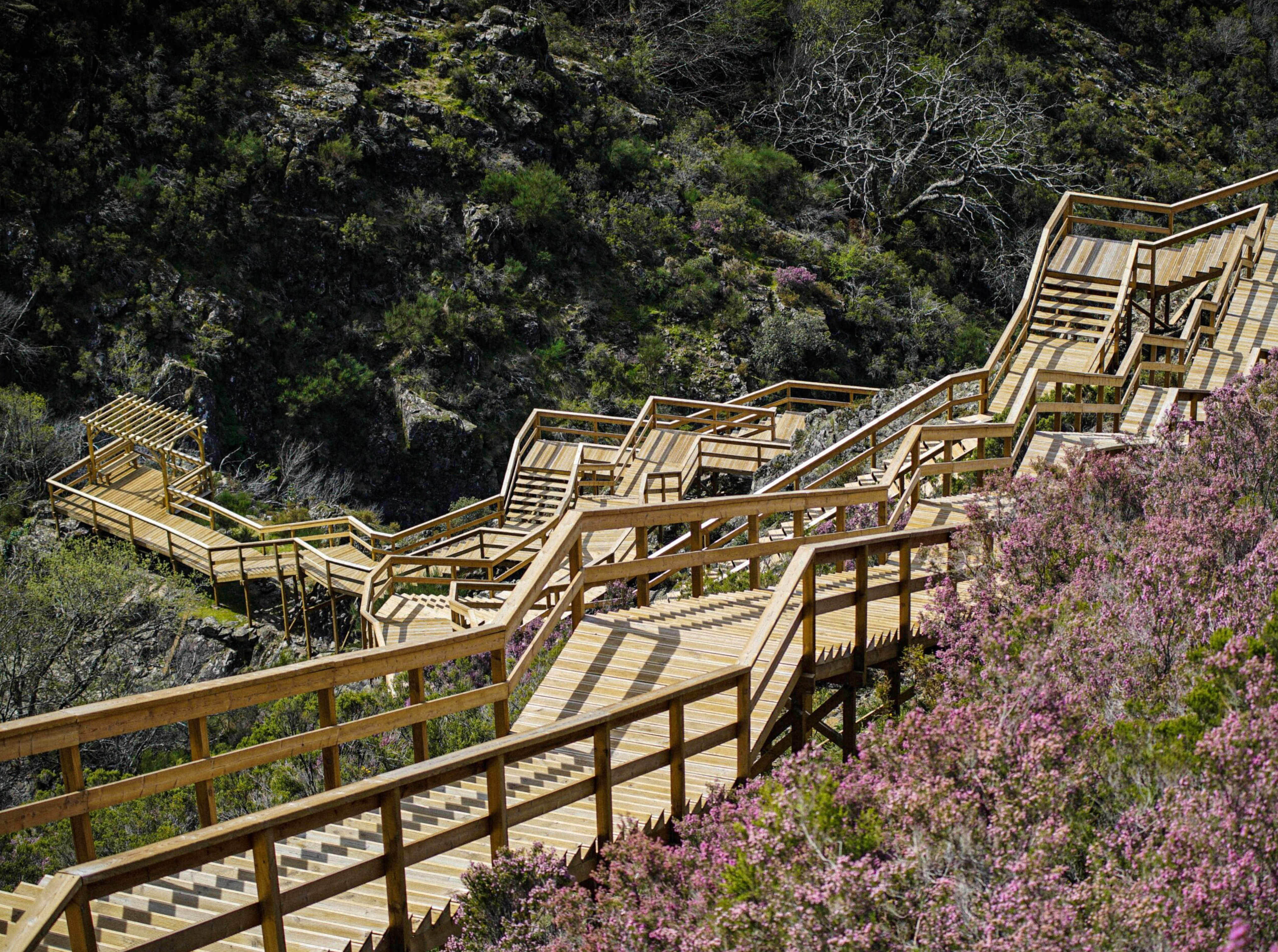 hike img